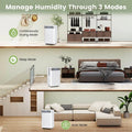 32 Pints 2000 sq ft Basement Dehumidifier with Drain Hose, 24H Timer & 3 Color Indicator, Quiet Portable Dehumidifier for Home, Bedroom, Bathroom